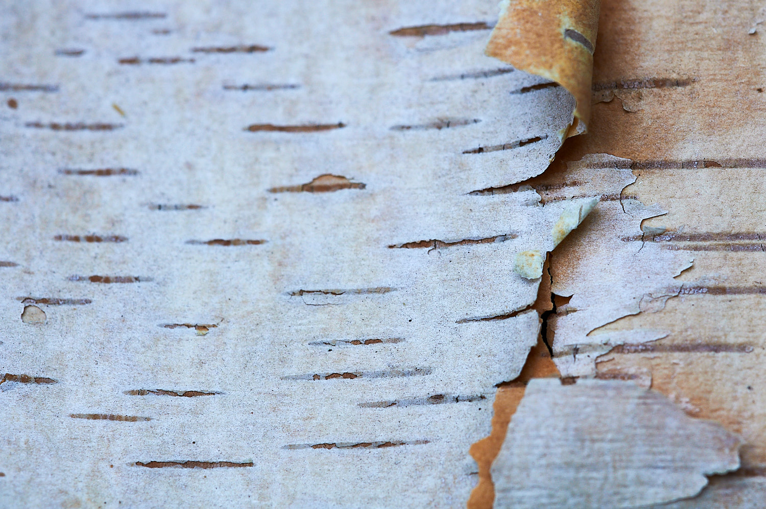 Abstract Color Photography