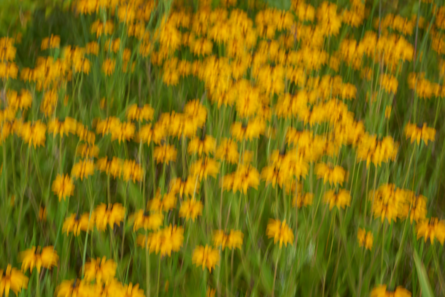 Abstract Color Photography