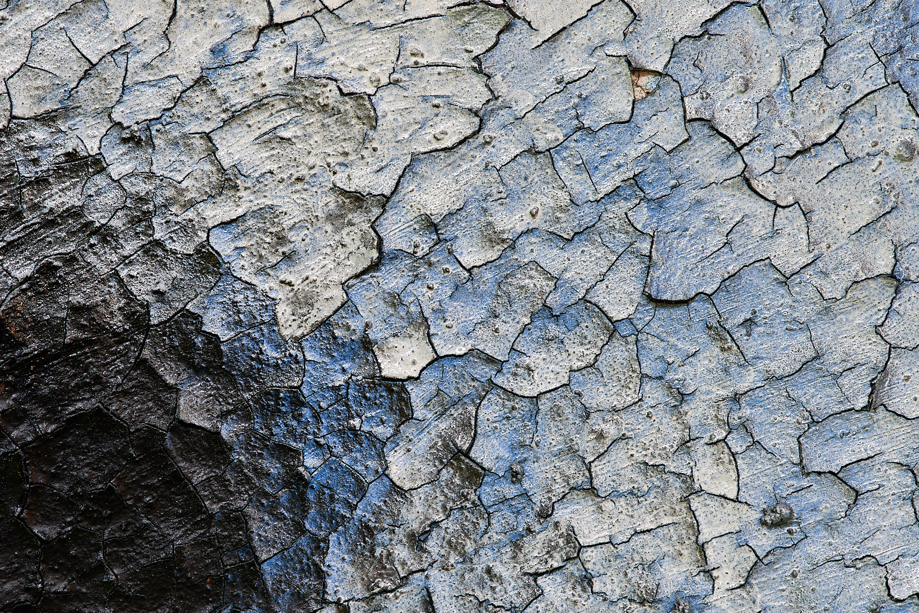 Abstract Color Photography