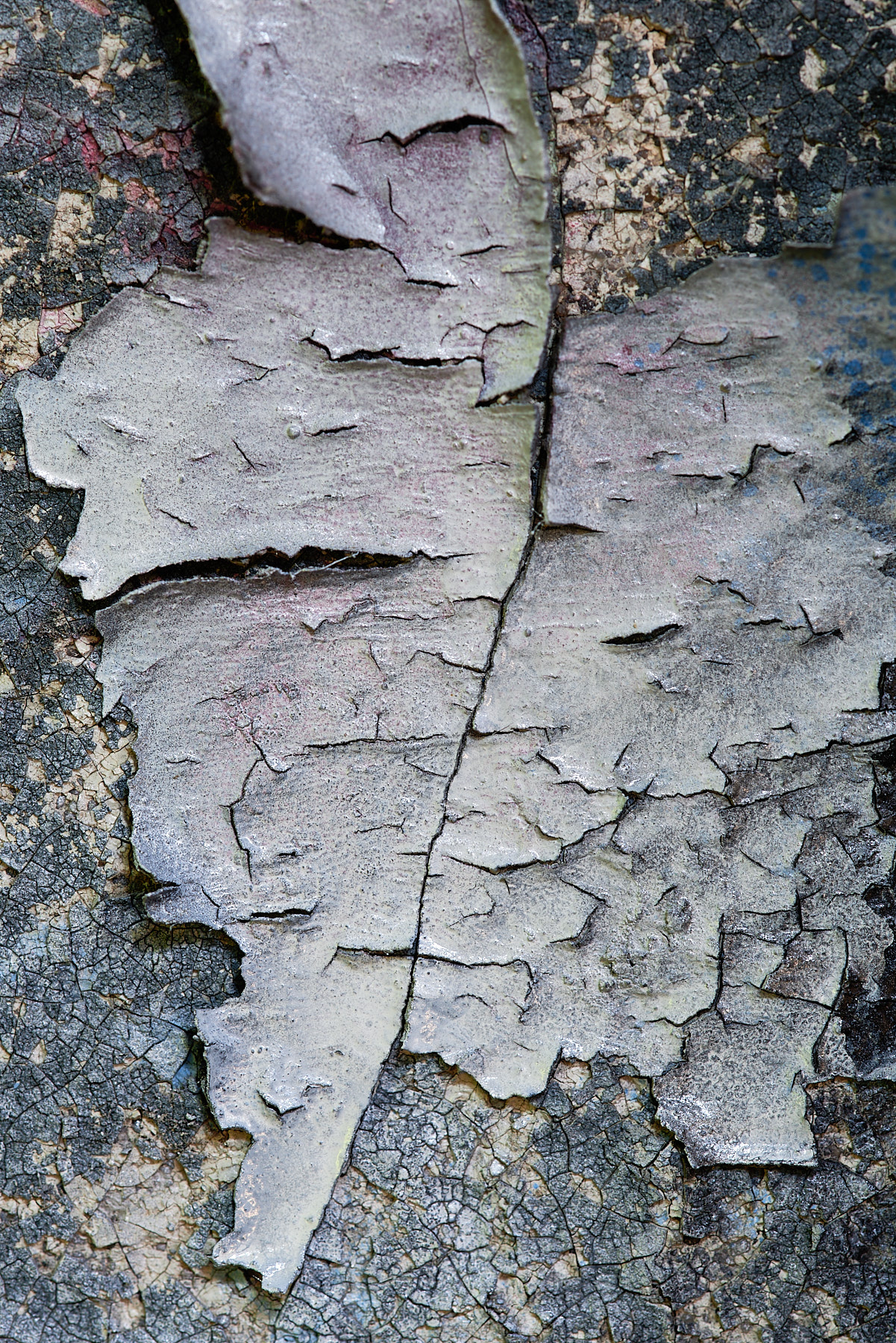 Abstract Color Photography