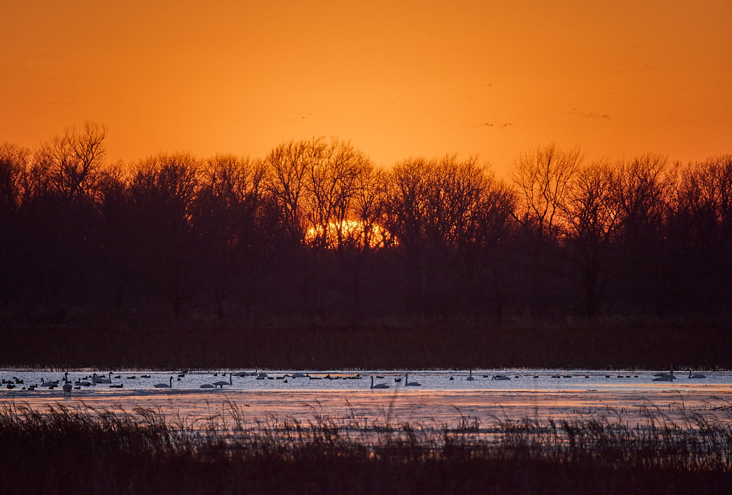 Sunset over Loess Bluffs NWR marshland.