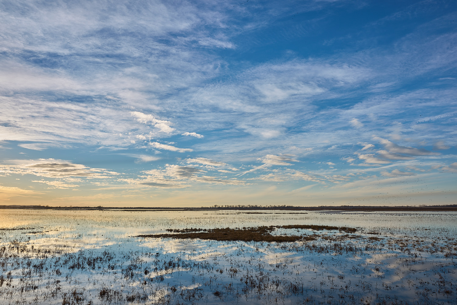 Beautiful Loess Bluffs wetlands near sunset.