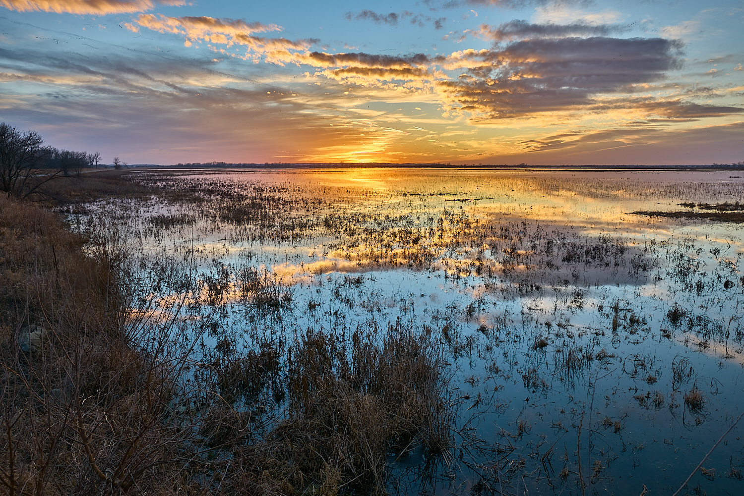 Beautiful Loess Bluffs wetlands at sunset.