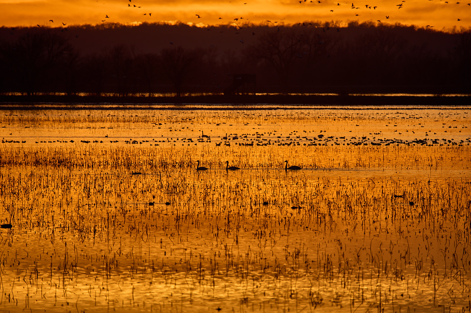 Beautiful Loess Bluffs wetlands at sunset.